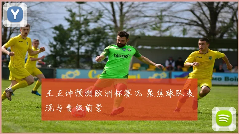 王正坤预测欧洲杯赛况 聚焦球队表现与晋级前景